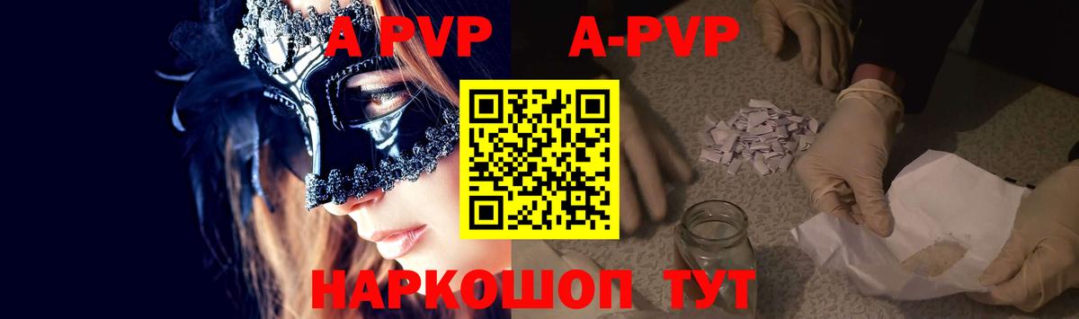 Alfa_PVP СК Дальнегорск