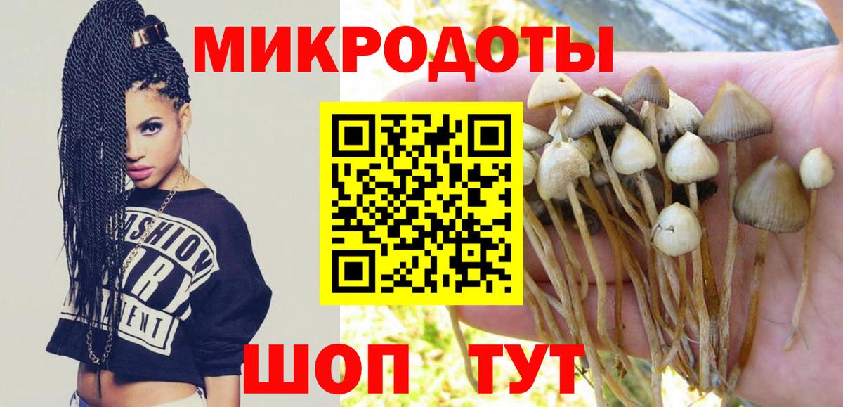 сколько стоит  Псилоцибиновые грибы Psilocybe  Вход с VPN  Дальнегорск 